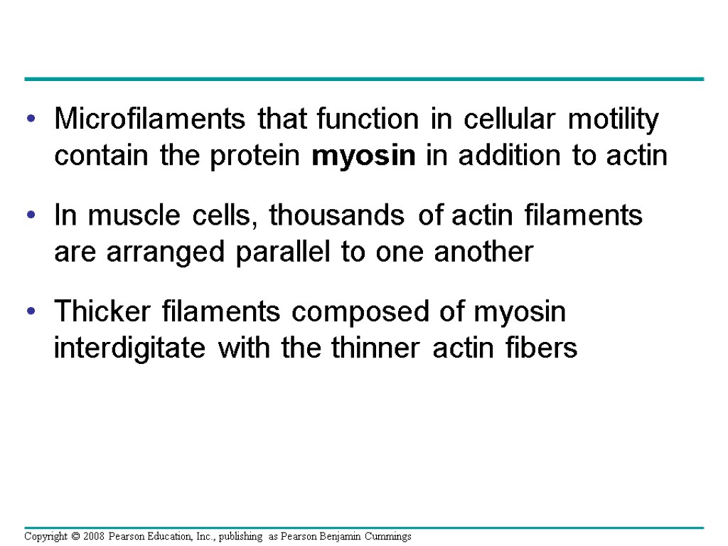 Microfilaments that function in cellular motility contain the protein myosin in addition to actin
